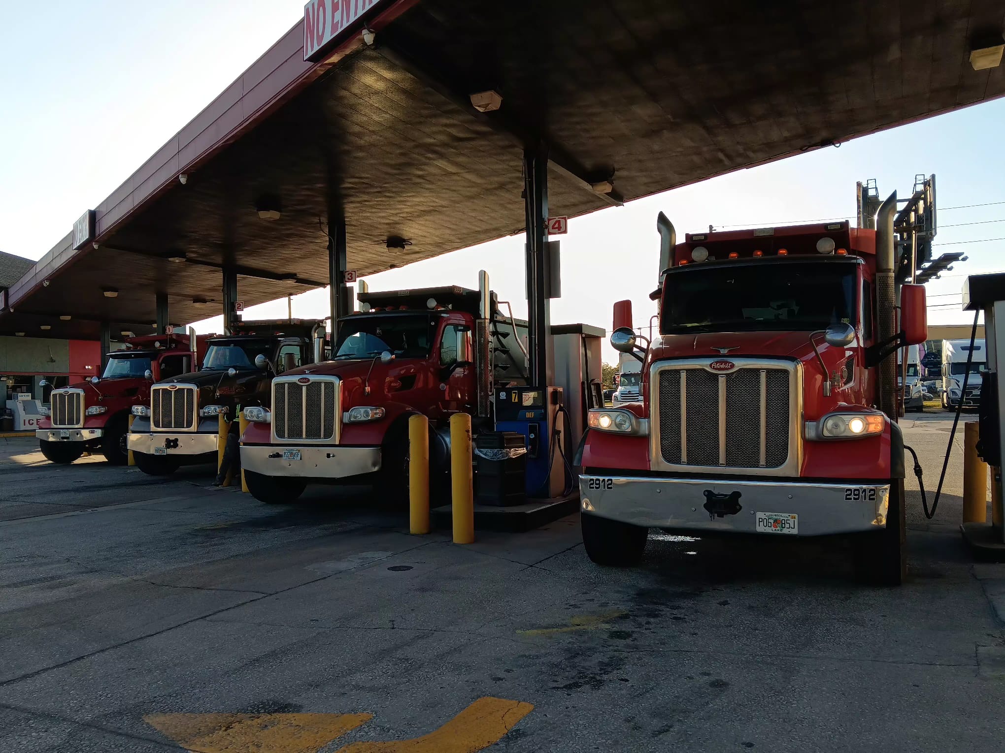 Nalu's Freight Solutions fleet of dump trucks